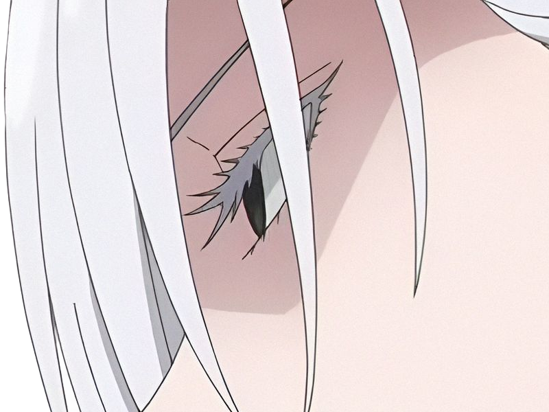 fiona frost nocturna nightfall spy x family anime manga femme espionne agent secret