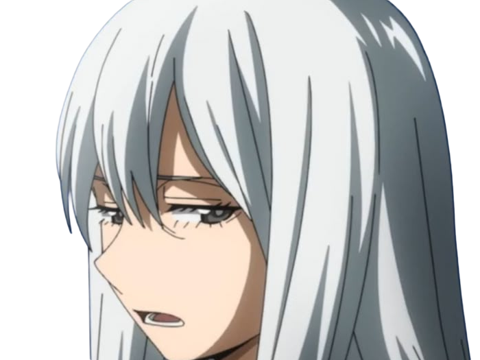 rei todoroki himura hero academia boku manga anime femme cheveux-blanc yeux-gris alter glace