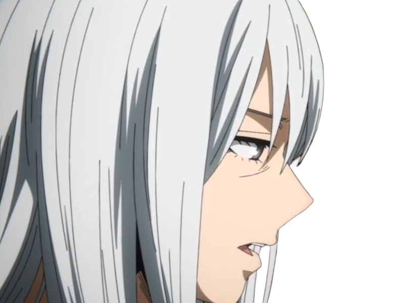 rei todoroki himura hero academia boku manga anime femme cheveux-blanc yeux-gris alter glace