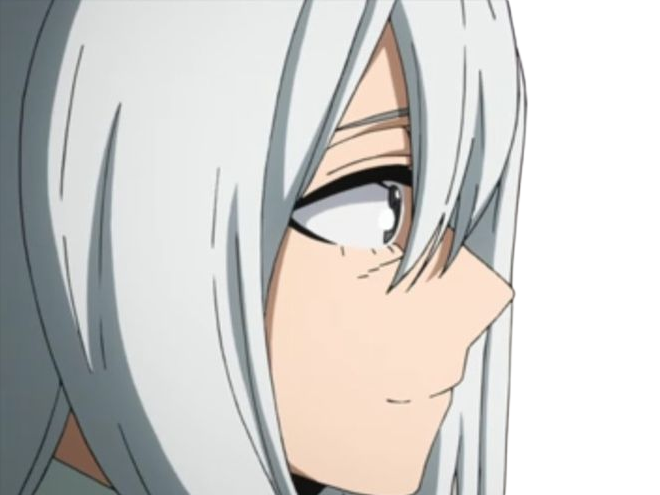 rei todoroki himura hero academia boku manga anime femme cheveux-blanc yeux-gris alter glace