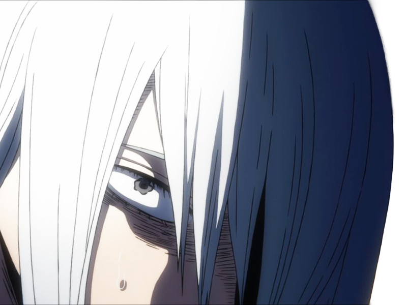 rei todoroki himura hero academia boku manga anime femme cheveux-blanc yeux-gris alter glace