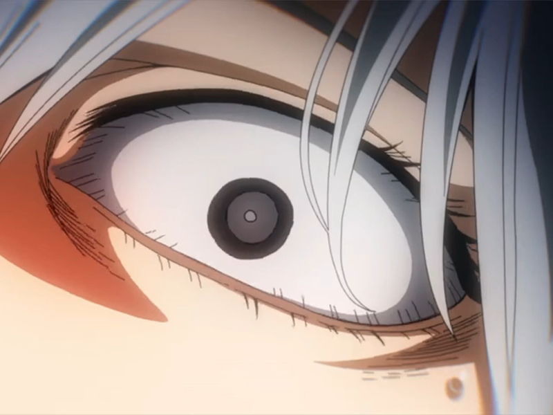 rei todoroki himura hero academia boku manga anime femme cheveux-blanc yeux-gris alter glace