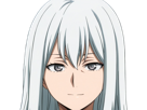 rei-todoroki-himura-hero-academia-boku-manga-anime-femme-cheveux-blanc-yeux-gris-alter-glace