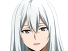 rei-todoroki-himura-hero-academia-boku-manga-anime-femme-cheveux-blanc-yeux-gris-alter-glace