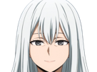 rei-todoroki-himura-hero-academia-boku-manga-anime-femme-cheveux-blanc-yeux-gris-alter-glace