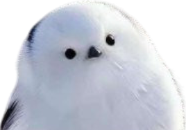 fee des neiges shima-enaga shima enaga oiseau japonais blanc mignon kawai kawaii