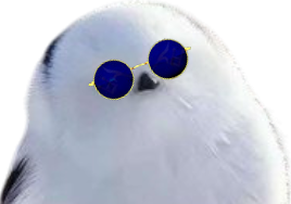 fee des neiges shima enaga oiseau japonais blanc mignon kawai kawaii redpill lunettes bleues