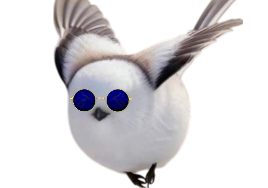 fee neiges shima enaga oiseau japonais blanc mignon kawai kawaii lunettes bleues vol des vole