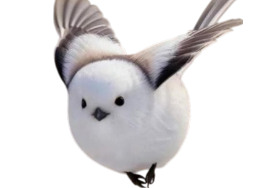 fee neiges shima enaga oiseau japonais blanc mignon kawai kawaii vol des vole