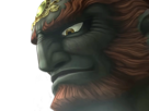 ganon-ganondorf-moupe-roi-des-voleurs-zelda-gerudo-twilight-princess-legend-moustapha-seigneur-tenebres