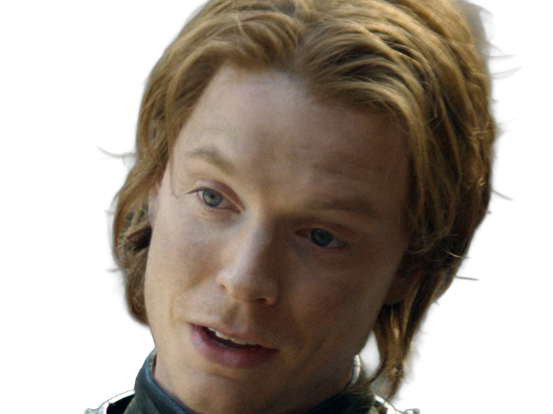 gwayne hightower ser chevalier house dragon hotd freddie fox homme