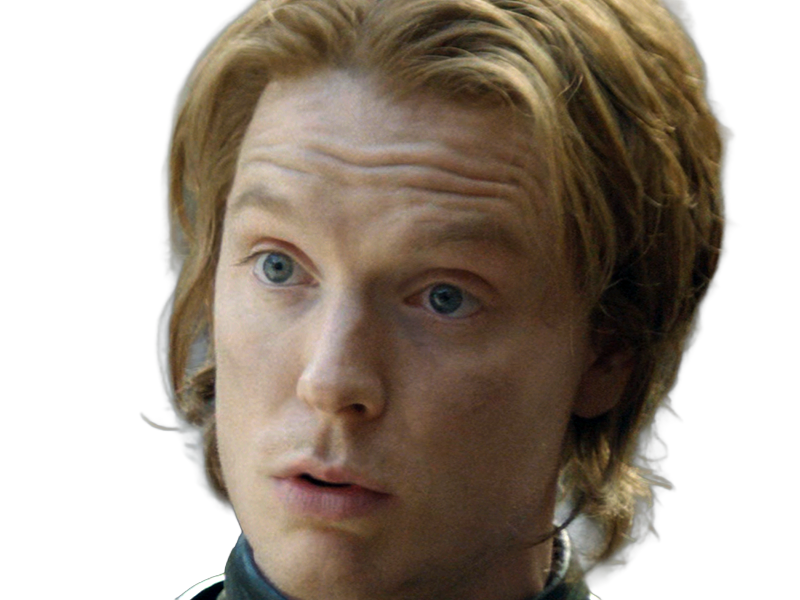 gwayne hightower ser chevalier house dragon hotd freddie fox homme