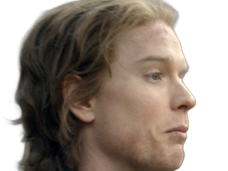 gwayne hightower ser chevalier house dragon hotd freddie fox homme