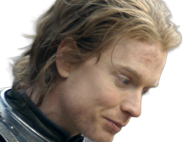 gwayne hightower ser chevalier house dragon hotd freddie fox homme