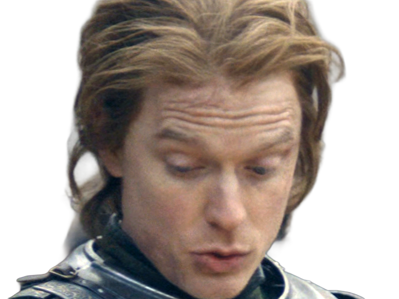 gwayne hightower ser chevalier house dragon hotd freddie fox homme