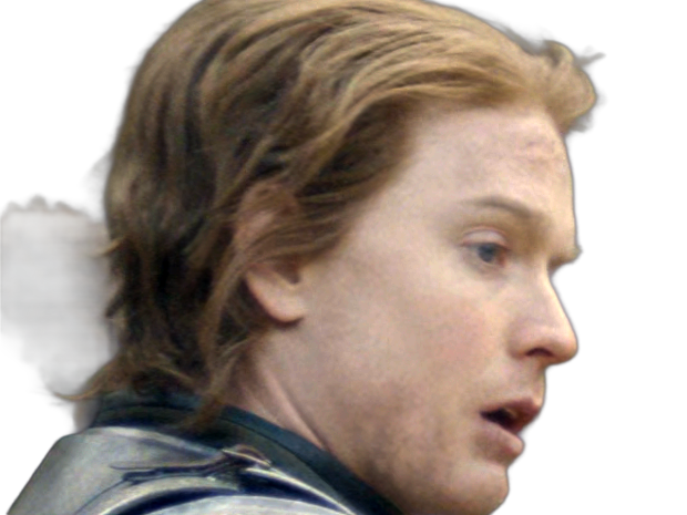 gwayne hightower ser chevalier house dragon hotd freddie fox homme