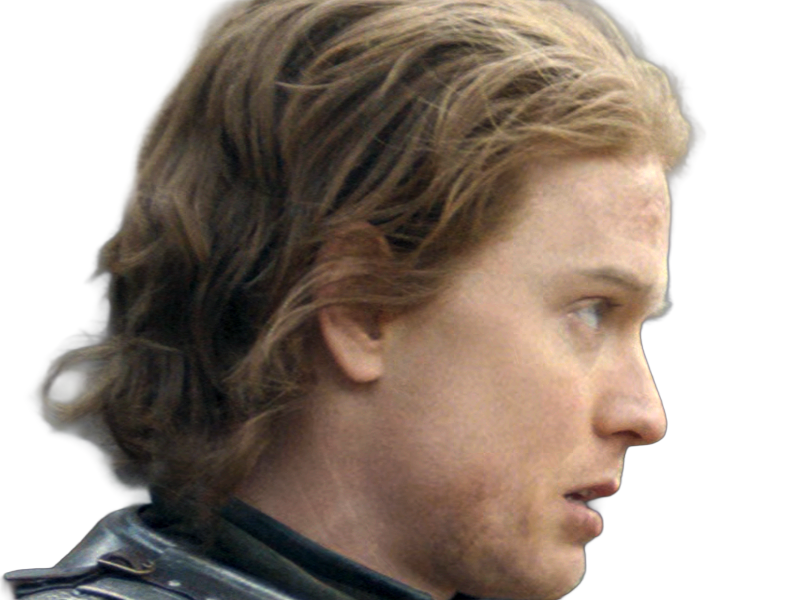 gwayne hightower ser chevalier house dragon hotd freddie fox homme