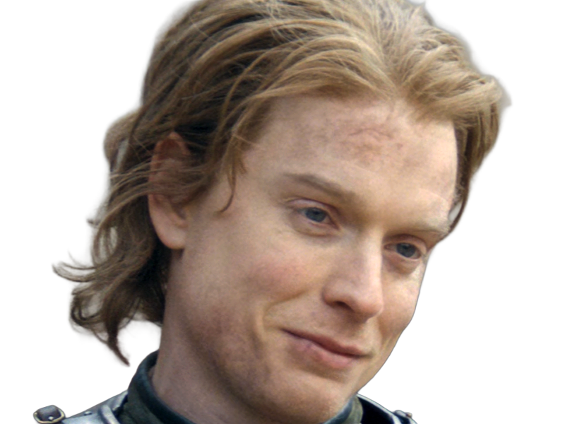 gwayne hightower ser chevalier house dragon hotd freddie fox homme