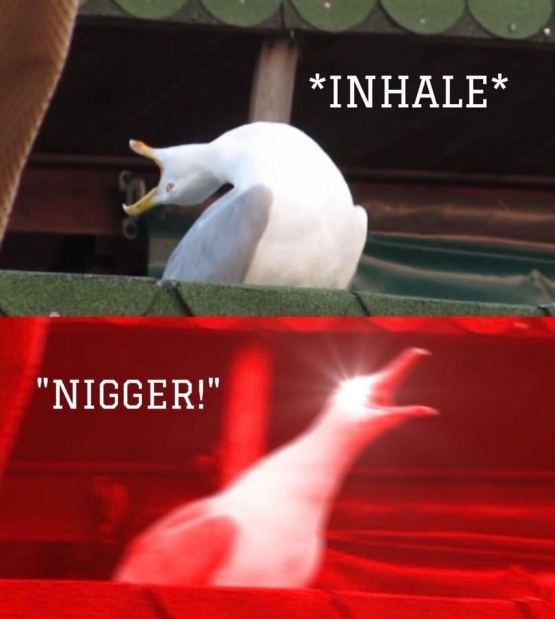 alloc caf gred sait cotise rcsm tlm remplace taxe oqtf visa nigga jeun heil tonton