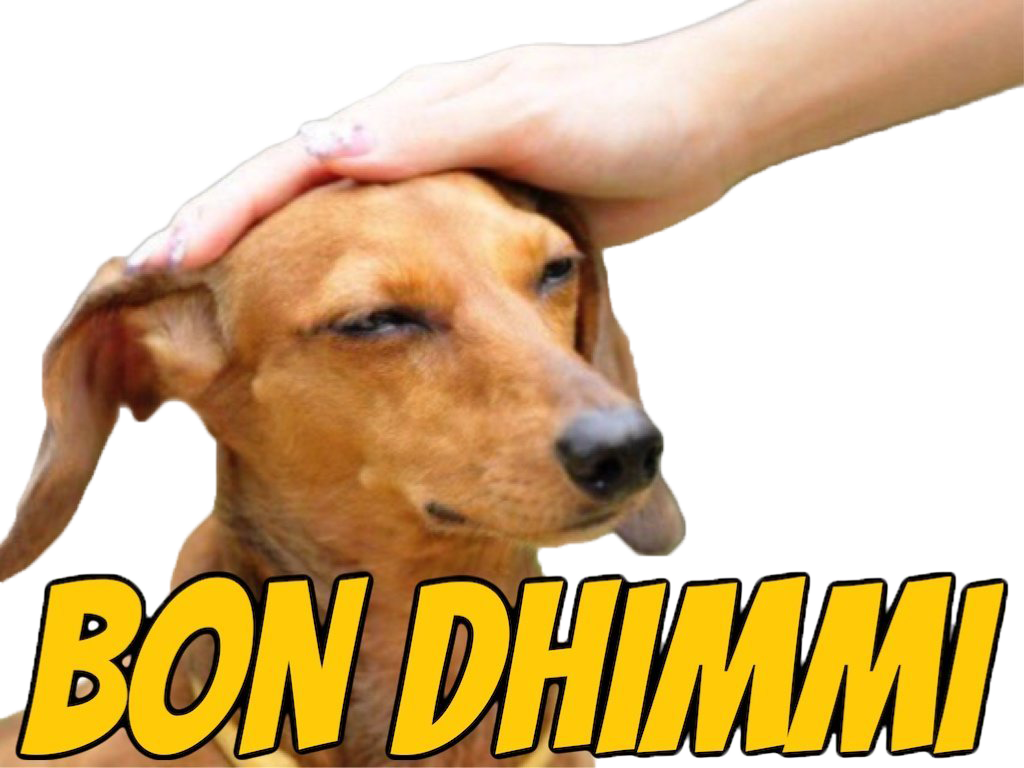 cucked candaule bluepill soum beta omega infidele traitor caresse goy lache akbar victim celes tlm