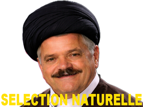 iran ali khamenei risitas