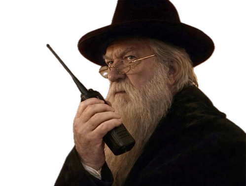 albus dumbledore harry potter