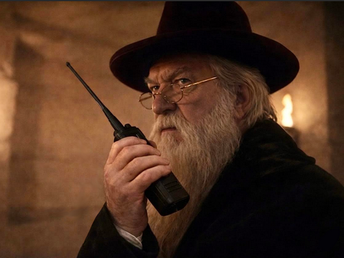 albus dumbledore harry potter