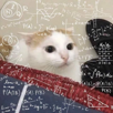 gato-meow-miaou-calcul-calc-trigo-math-idea-brain-iq-nombre-nb-chiffre-num-mind