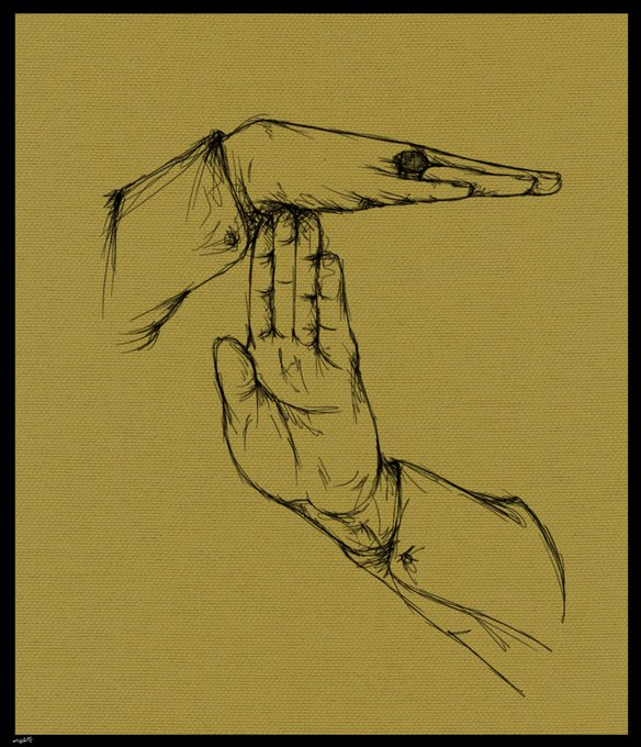 guerre iran betasunis etats unis usa israel horizontal vertical came vertically returned horizontally operation coalition