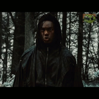 voodoo pottah nflx dei tarax reboot wokism radclif rowling adapt gred wizard nigga hype snape