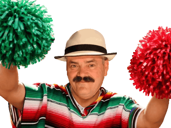 supporter pom pompom boy encourager acclamer feter fete