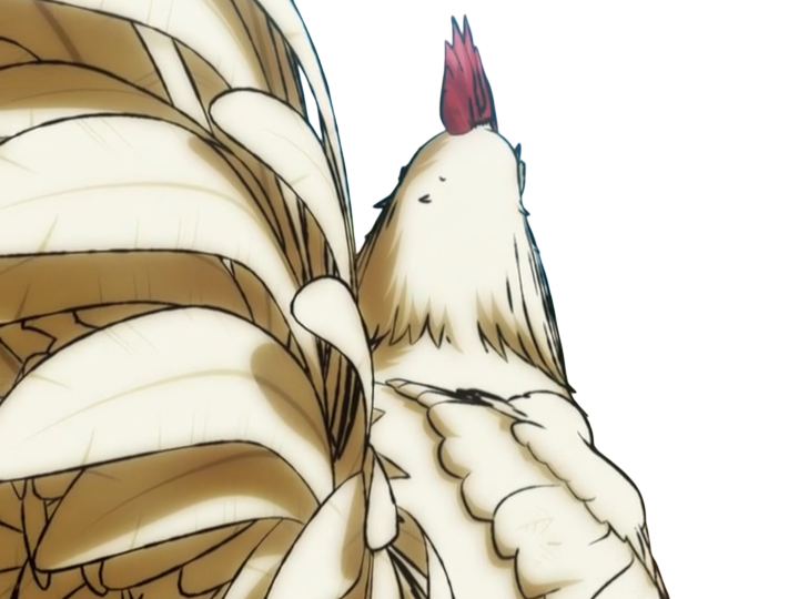 niwatori fighter rooster coq de baston keiji