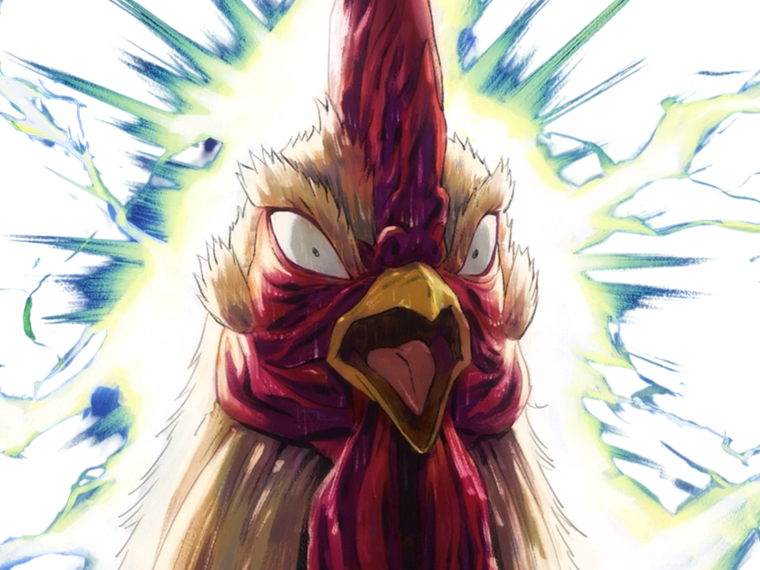 niwatori fighter rooster coq de baston keiji