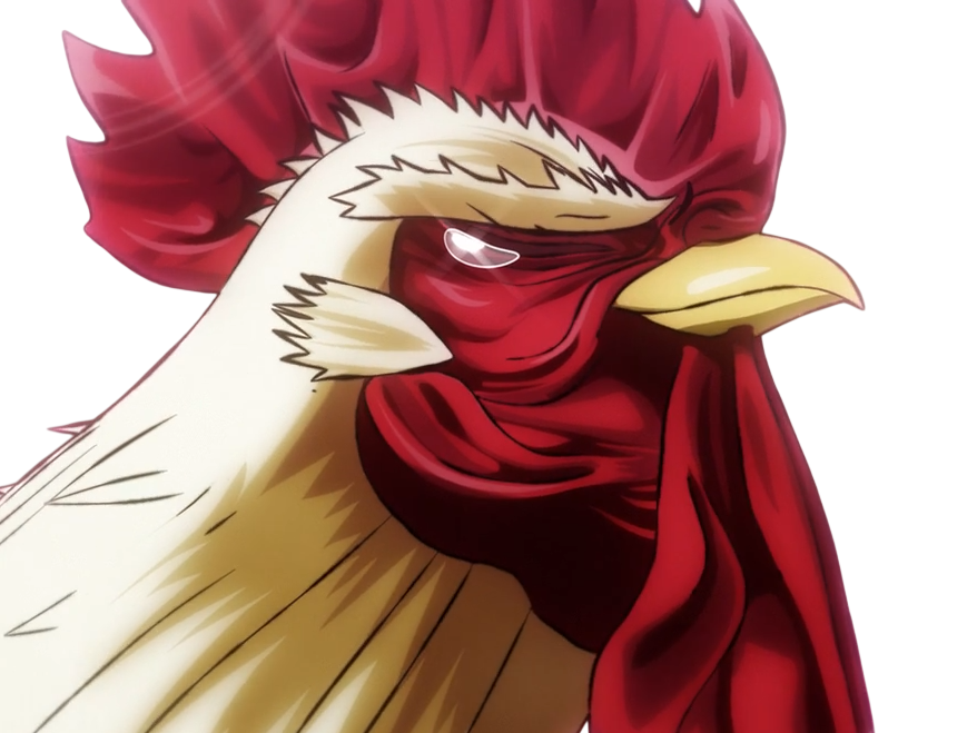 niwatori fighter rooster coq de baston keiji