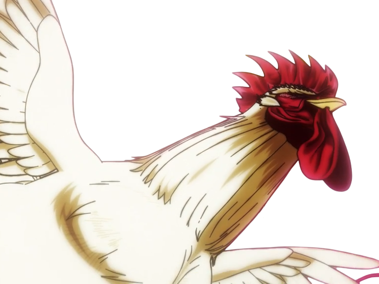 niwatori fighter rooster coq de baston keiji