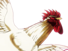 niwatori-fighter-rooster-coq-de-baston-keiji