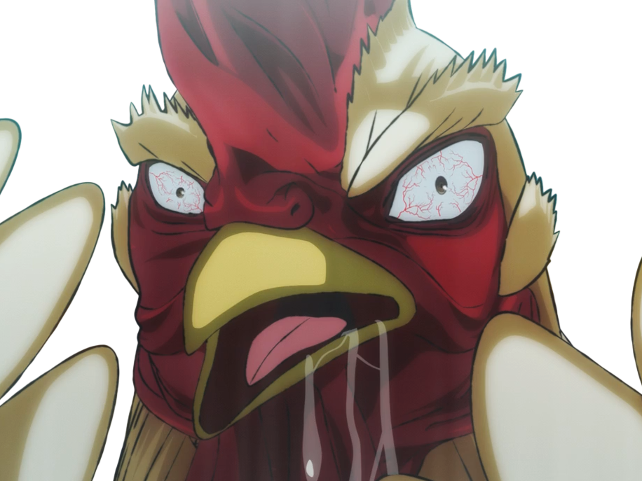 niwatori fighter rooster coq de baston keiji