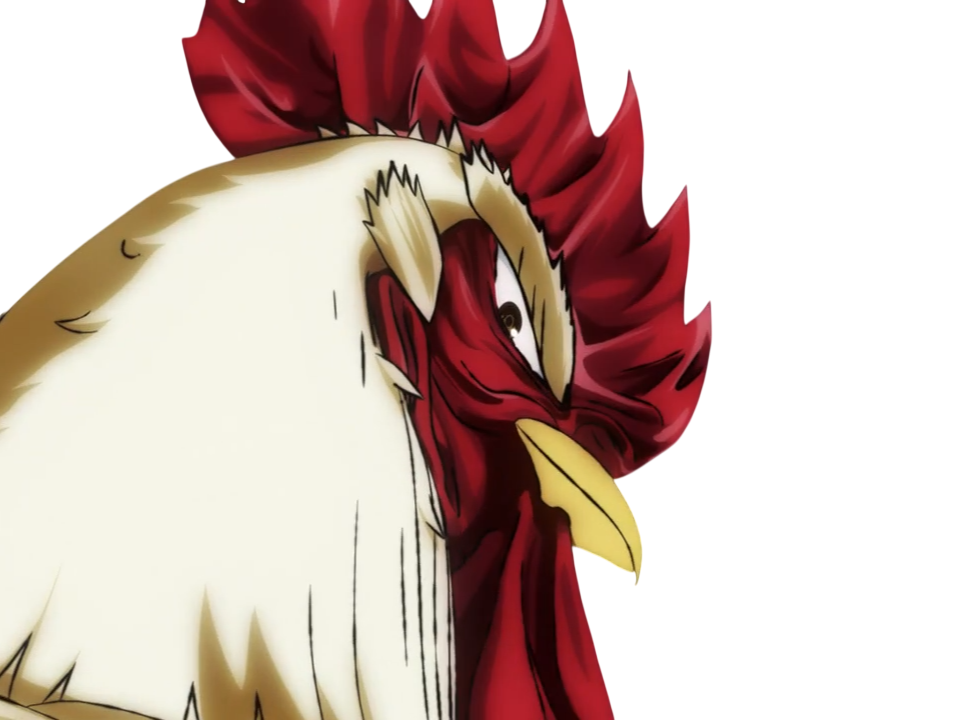 niwatori fighter rooster coq de baston keiji