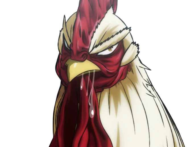 niwatori fighter rooster coq de baston keiji