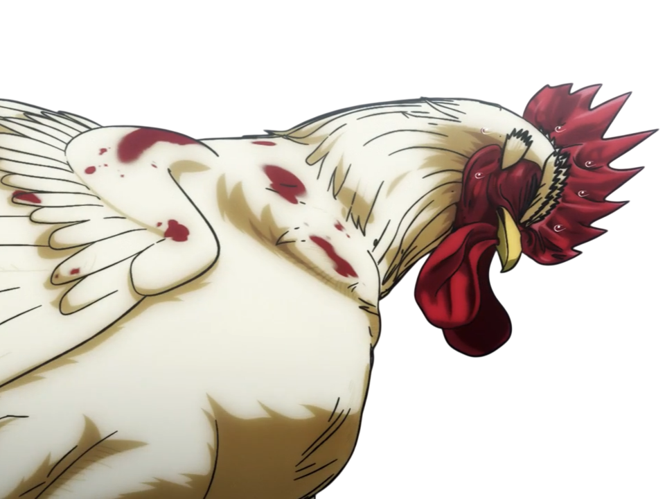 niwatori fighter rooster coq de baston keiji