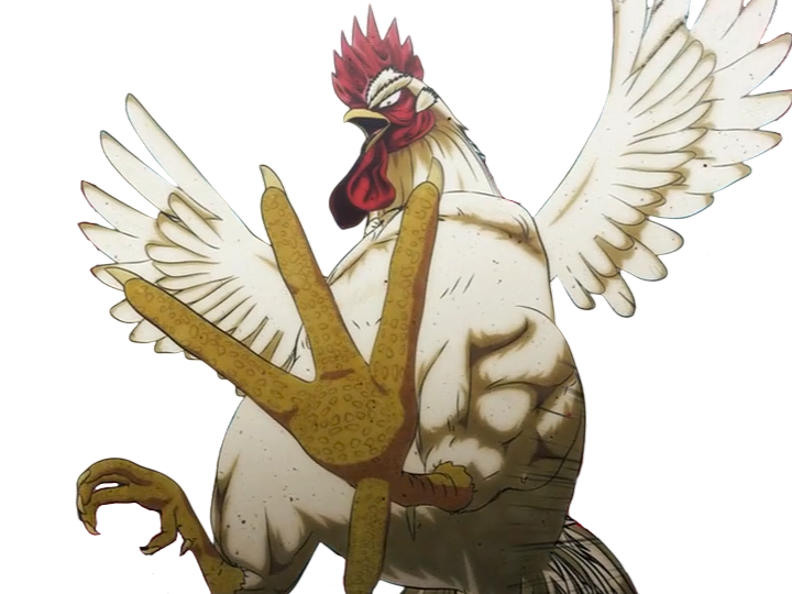 niwatori fighter rooster coq de baston keiji