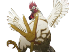 niwatori-fighter-rooster-coq-de-baston-keiji