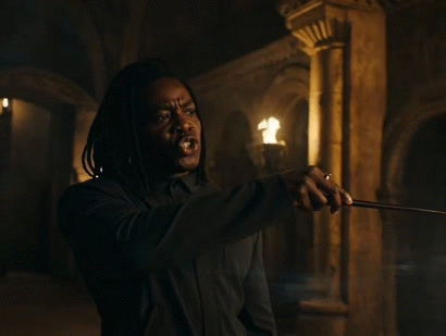 voodoo pottah nflx dei tarax reboot wokism radclif rowling adapt gred wizard nigga hype snape