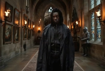 voodoo pottah nflx dei tarax reboot wokism radclif rowling adapt gred wizard nigga hype snape