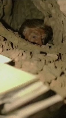 mossad kipa potus 109 torah wwg1wga theory complotix corrupt isr aviv jeru traitor boot hole