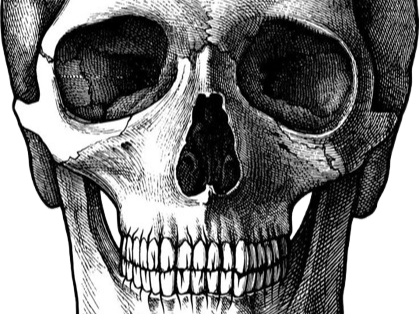 crane tete mort bloop