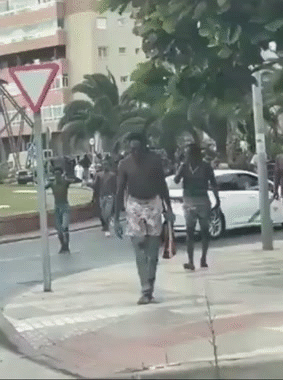 louvre parasite gred sait cotise seine eiffel tlm remplace taxe immigre visa oqtf nigga barbes