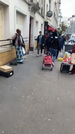 louvre parasite gred sait cotise seine eiffel tlm remplace taxe immigre visa oqtf nigga barbes