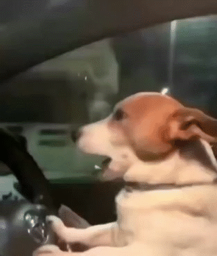 wake alarm alert snooze digit hang dring ding dong cloche mana tot bed nap nite