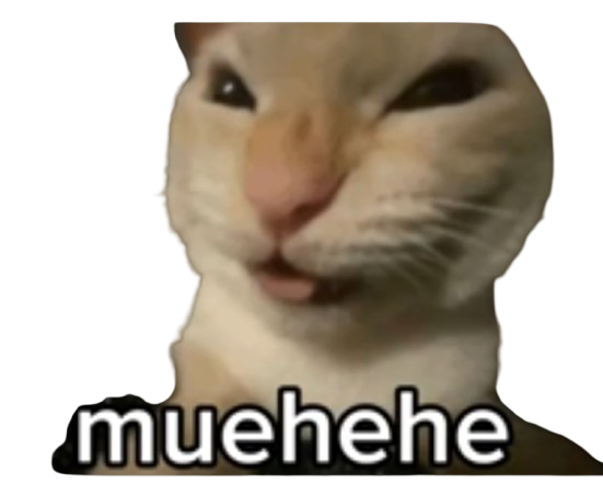 chat cat fou zinzin zinzolin espiegle zinzolino animal miaou grrrr crazy muehehe rire